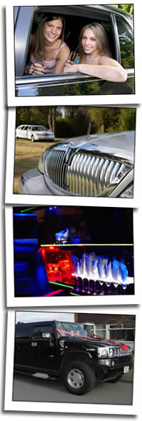 Limousines and chauffeur cars graphic